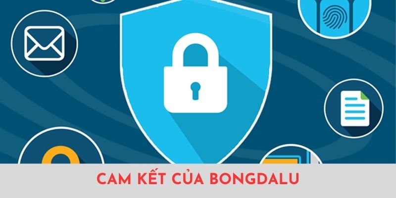 Quyền riêng tư và cam kết của BONGDALU về chính sách