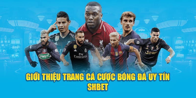 SHBET - Tham Gia Cá Cược Bóng Đá Đỉnh Cao Nhất